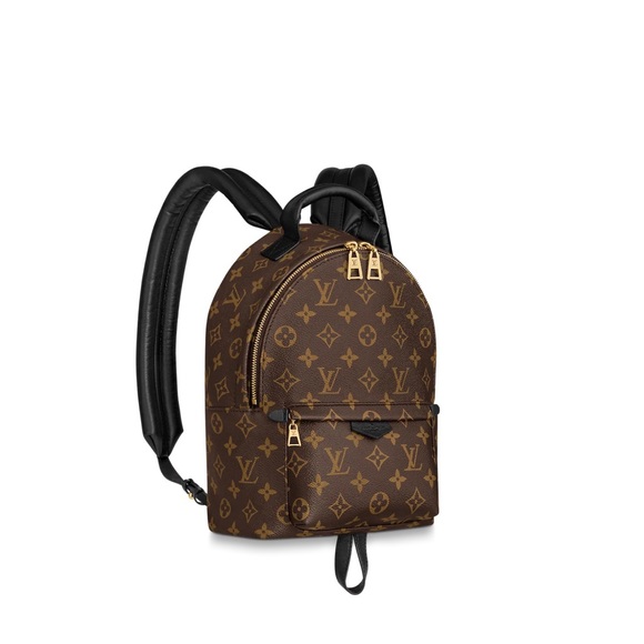 Louis Vuitton Handbags - Louis Vuitton Palm Springs MM back pack